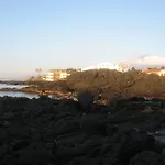 Orpheus 贾迪尼-纳克索斯