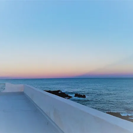 Orpheus 2*