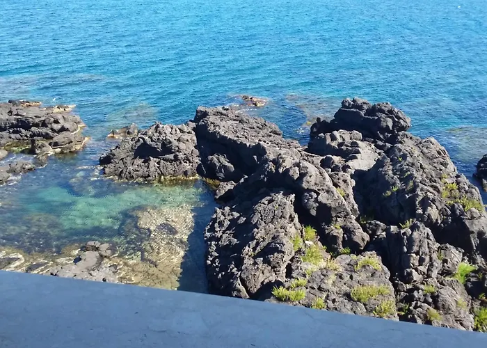 Orpheus 2* 지아르디니낙소스