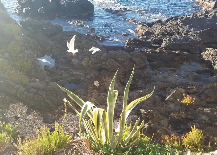 Orpheus 2* Giardini Naxos