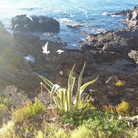 Orpheus 2* Giardini-Naxos