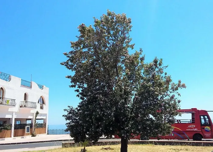 Orpheus Hotel 2*
